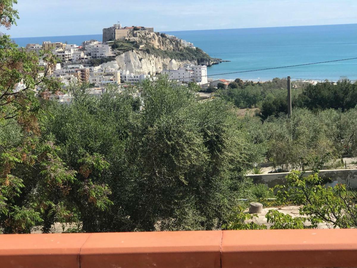 Appartamenti Santa Margherita Vieste Exteriör bild
